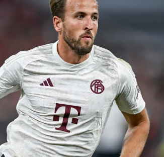 未来核心 未来核心